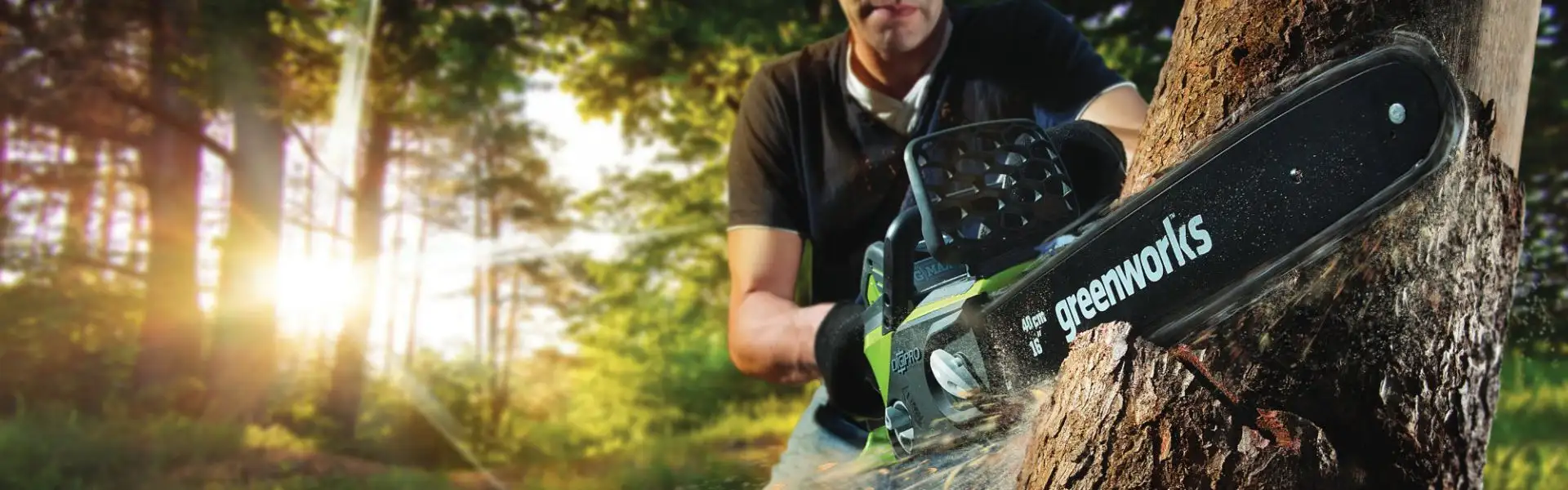 Greenworks Power Tools & Garden Equipment - Cordless Battery Solutions