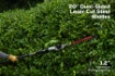 Picture of 82V Telescopic Hedge Trimmer