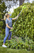 Picture of 24V  Pole Hedge Trimmer